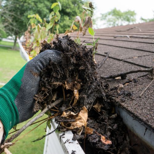 Dakgoot schoonmaken Dordrecht