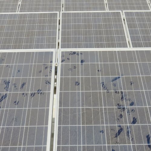 Zonnepanelen schoonmaken