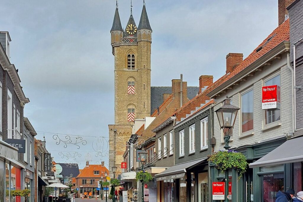 Zonnepanelen schoonmaken Sluis