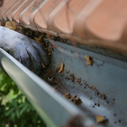 Dakgoot schoonmaken Eindhoven, Dakgoot reinigen Eindhoven, Dakgoten schoonmaken Eindhoven