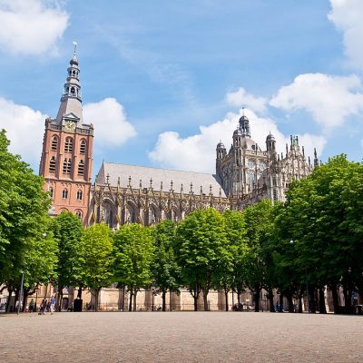 Dakgoot schoonmaken Den Bosch, Kathedraal Den Bosch
