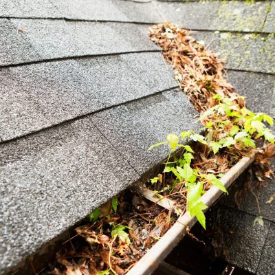 Dakgoot schoonmaken Ede, Dakgoot reinigen Ede